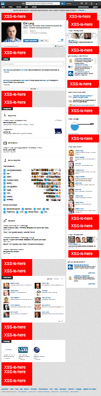 LinkedIn XSS - Profile view zoomed out